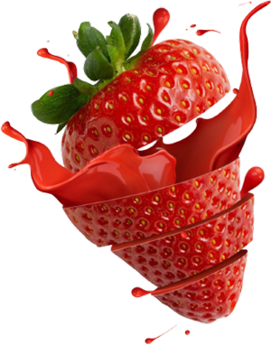 expertise en transformation alimentaire