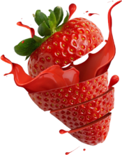 expertise en transformation alimentaire
