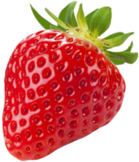 technia service fraise